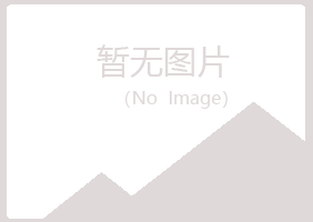 阜康夏岚木材有限公司